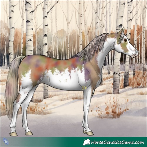 Horse Color:Nacre White Spotted Chocolate Palomino Dun 