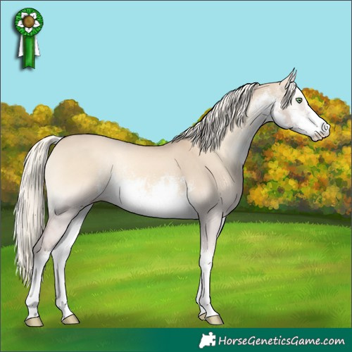 Horse Color:White Spotted Cremello Onyx 