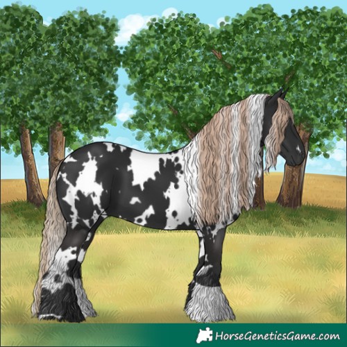 Horse Color:White Spotted Liver Chestnut 