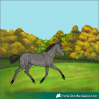 Horse Color:Void Grullo Ice 