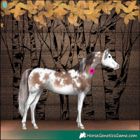 Horse Color:White Spotted Chocolate Brown Dun Splash 