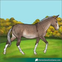 Horse Color:Silver Brown Dun 