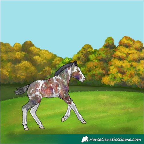 Horse Color:Nacre White Spotted Brown Ice Splash 