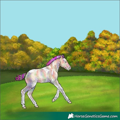 Horse Color:Painted Nacre White Spotted Buckskin Pearl Onyx Tobiano Varnish 