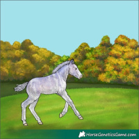 Horse Color:Watercolor White Spotted Silver Bay 