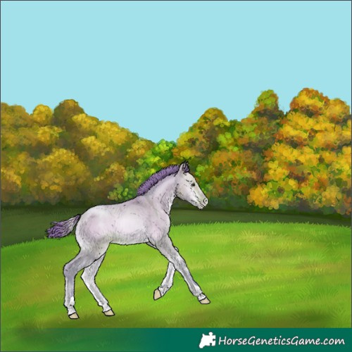 Horse Color:Watercolor Bay Pearl Onyx 
