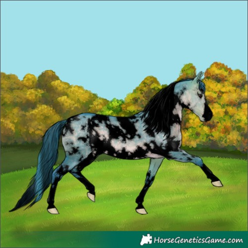 Horse Color:Void Platinum Watercolor White Spotted Buckskin Dun