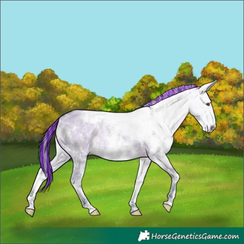 Horse Color:Painted Watercolor White Spotted Bay Dun Sabino 