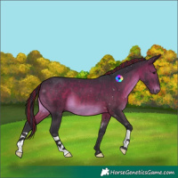 Horse Color:Painted Brown 