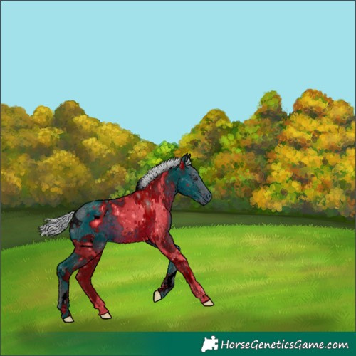 Horse Color:ERROR: UNKNOWN ANOMALY