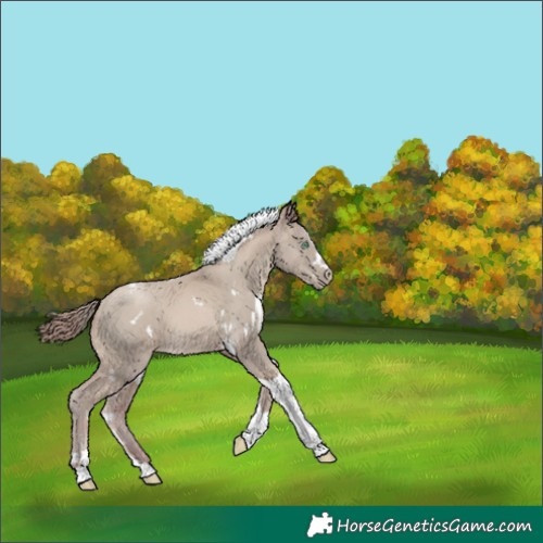 Horse Color:Watercolor White Spotted Smoky Black Pearl Tobiano 