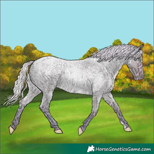 Horse Color:Watercolor Silver Buckskin Ice Roan Pearl Dun 