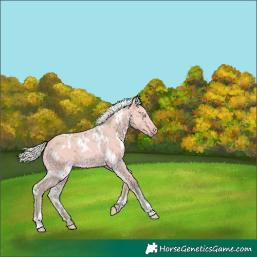 Horse Color:Watercolor White Spotted Silver Perlino Dun 