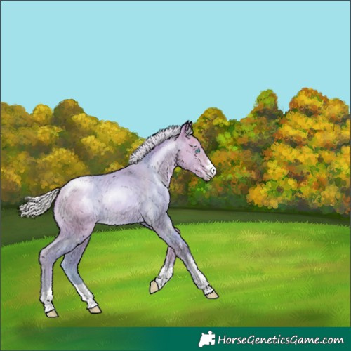 Horse Color:Watercolor Silver Buckskin Pearl Rabicano 