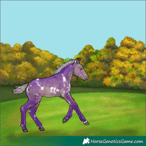 Horse Color:Watercolor White Spotted Silver Buckskin 