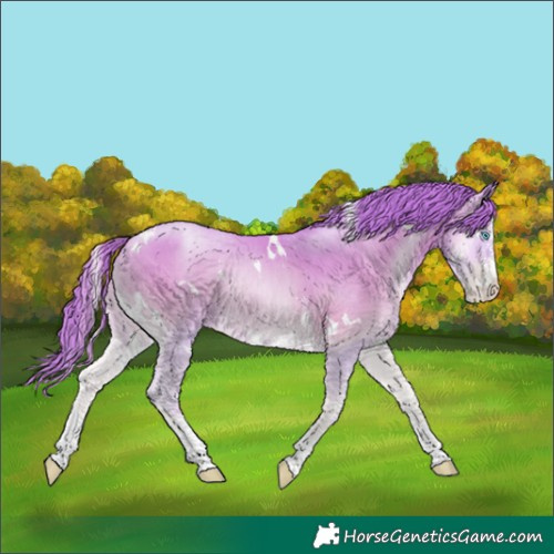 Horse Color:Watercolor White Spotted Sable Cream Champagne Pearl Onyx Sabino