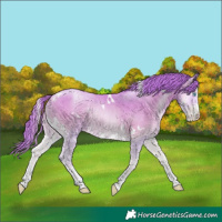 Horse Color:Watercolor White Spotted Sable Cream Champagne Pearl Onyx Sabino 
