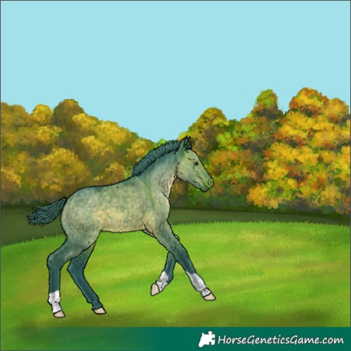 Horse Color:Watercolor Brown Dun 