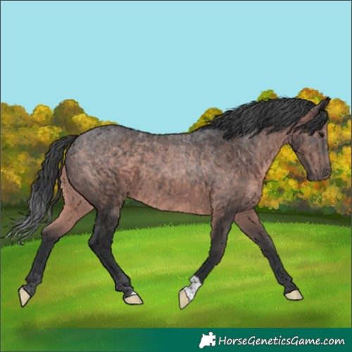Horse Color:Platinum Brown 