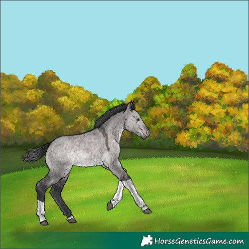 Horse Color:Platinum Brown Dun Tobiano 
