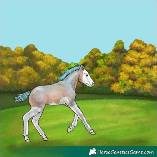 Horse Color:Watercolor Buckskin Splash 