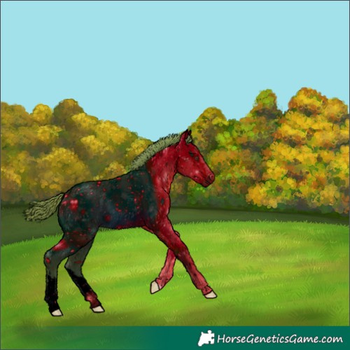 Horse Color:ERROR: UNKNOWN ANOMALY