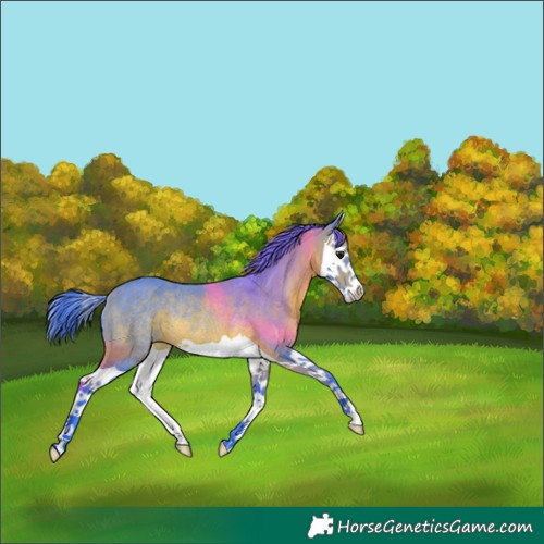 Horse Color:Watercolor Bay Splash Rabicano