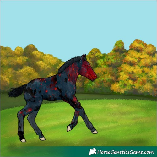 Horse Color:ERROR: UNKNOWN ANOMALY