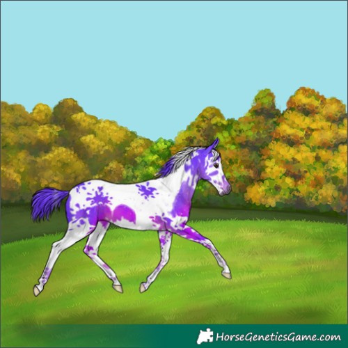 Horse Color:Gray Watercolor Liver Chestnut Splash Tobiano 