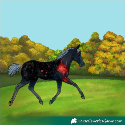 Horse Color:ERROR: UNKNOWN ANOMALY