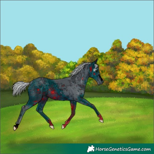 Horse Color:ERROR: UNKNOWN ANOMALY