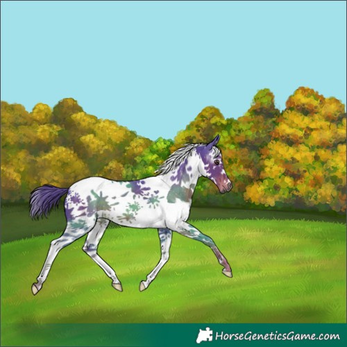 Horse Color:Gray Watercolor Liver Chestnut Splash Tobiano 