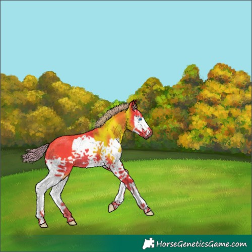 Horse Color:Gray Watercolor Chestnut Splash 