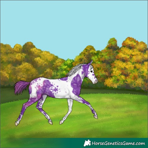 Horse Color:Watercolor Black Ice Splash Tobiano 