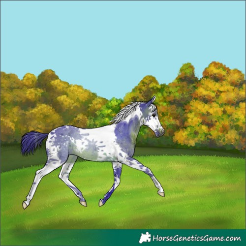 Horse Color:Gray Watercolor Brown Splash Tobiano
