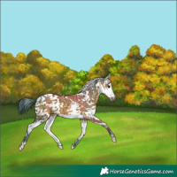 Horse Color:Watercolor Bay Ice Splash Tobiano 