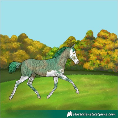 Horse Color:Watercolor Bay Ice Splash 