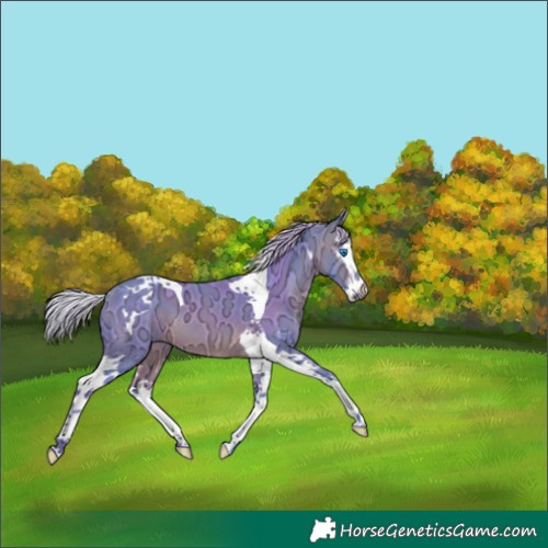 Horse Color:Watercolor Silver Brown Ice Splash Tobiano