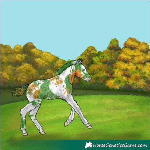 Horse Color:Watercolor Black Ice Splash Tobiano 