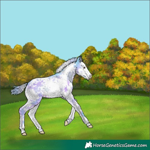 Horse Color:Watercolor Liver Red Onyx Splash Tobiano 