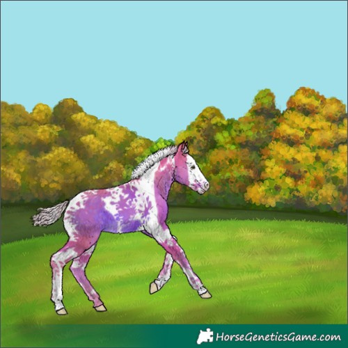 Horse Color:Watercolor Chocolate Palomino Splash Tobiano 