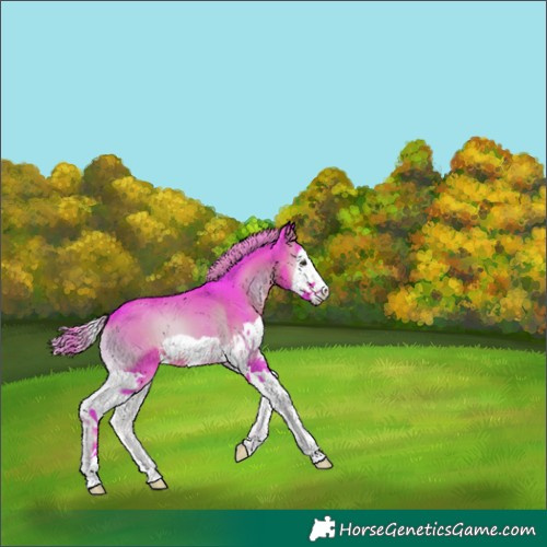 Horse Color:Watercolor Liver Red Onyx Splash 