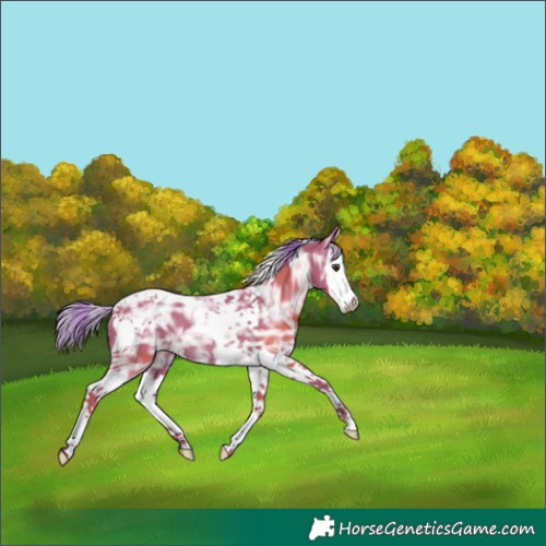 Horse Color:Watercolor Liver Chestnut Ice Splash Tobiano Rabicano 