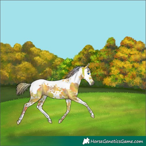 Horse Color:Nacre Watercolor Liver Chestnut Splash Tobiano 