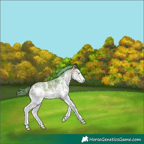 Horse Color:Gray Platinum Watercolor Buckskin Dun Sabino Splash 