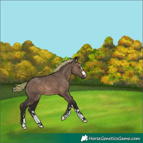 Horse Color:Painted Silver Brown Dun