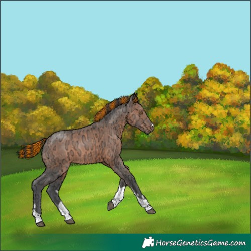 Horse Color:Painted Brown Ice Tobiano 