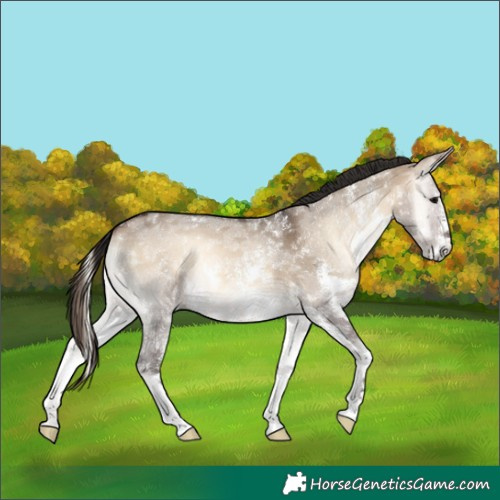Horse Color:Brown Onyx Sabino 