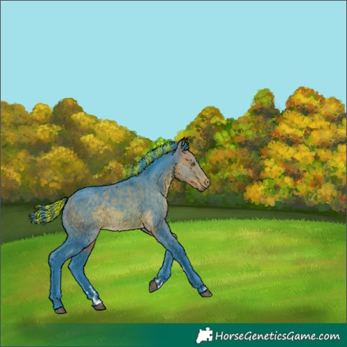 Horse Color:Painted Watercolor Buckskin 