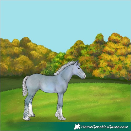 Horse Color:Watercolor White Spotted Silver Bay 